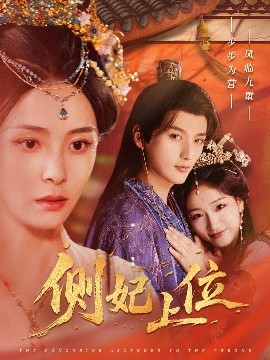 侧妃上位